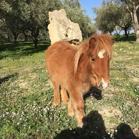 Le Cinque Pietre 칼렌티니