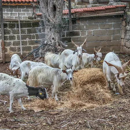 Le Cinque Pietre Farm stay *