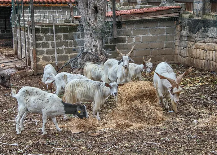 Le Cinque Pietre Фермерский дом *